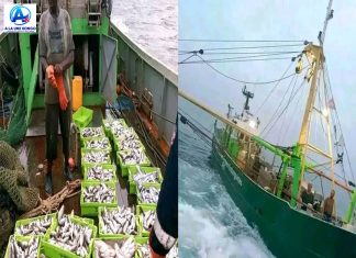 L’année 2024, une année des grandes réalisations pour l’église Kimbanguiste ; en voici quelques unes: Centre Agro-pastorale et Industriel Kimbanguiste de Kounzoulu à Brazzaville, Bateau de pêche, poulailler moderne de Lutendele, Compacteur tout neuf acquis par GTKI, mais aussi…