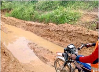 Kongo Central : vers la construction de la route Mbata Mbengi – Mbaka Khosi, une équipe de l’Agence Congolaise des Grands Travaux en pleine collecte des données techniques